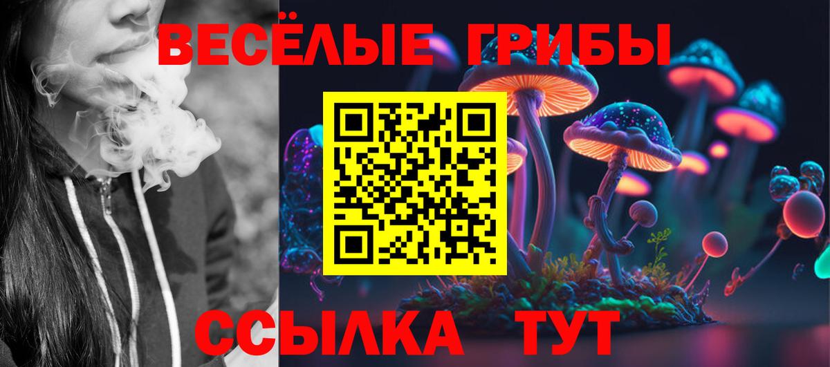 Псилоцибиновые грибы Magic Shrooms  Галлюциногенные грибы Psilocybine cubensis  Саянск  Вход с VPN 
